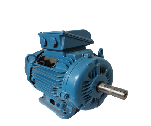 W22進(jìn)口電機(jī)