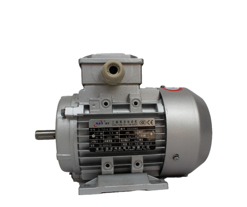 JL1.IE2鋁殼高效節(jié)能電機