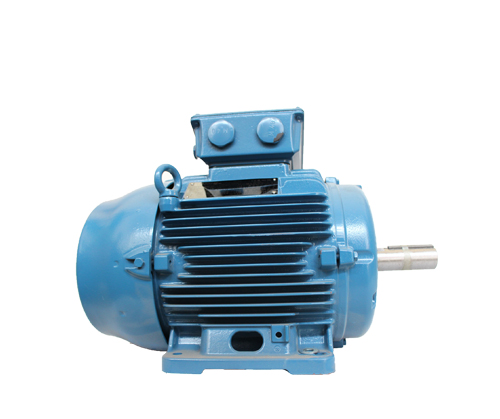 W22粉塵防爆電機(jī)