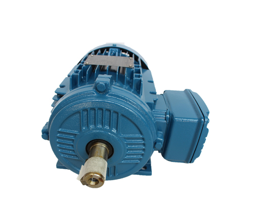 WEG增安型電機(jī)