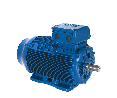W22高效節(jié)能電機(jī)