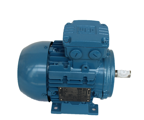 75千瓦高效電機(jī)