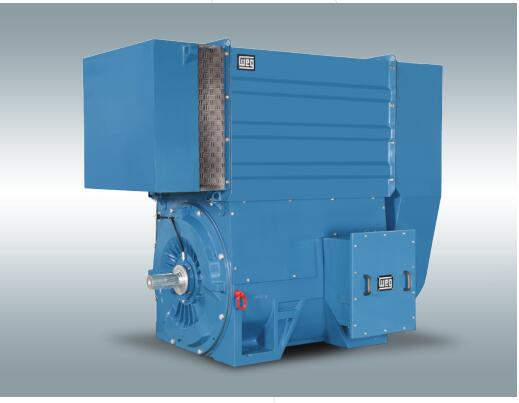 WEG高壓電機(jī)W60