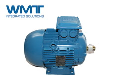 WEG電機(jī)人員簡(jiǎn)析高壓電機(jī)接入電源不運(yùn)轉(zhuǎn)的原因