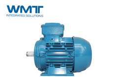 萬(wàn)高電機(jī)人員為您分享高壓電機(jī)維護(hù)時(shí)需注意的要點(diǎn)