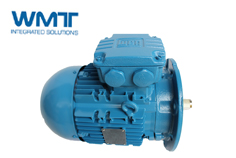 高效電機(jī)應(yīng)用變頻調(diào)速技術(shù)被業(yè)界廣泛認(rèn)同