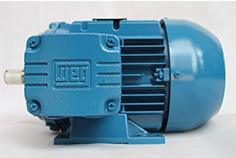 WEG電機(jī)W21三相低壓電機(jī)系列主要有哪些電機(jī)？