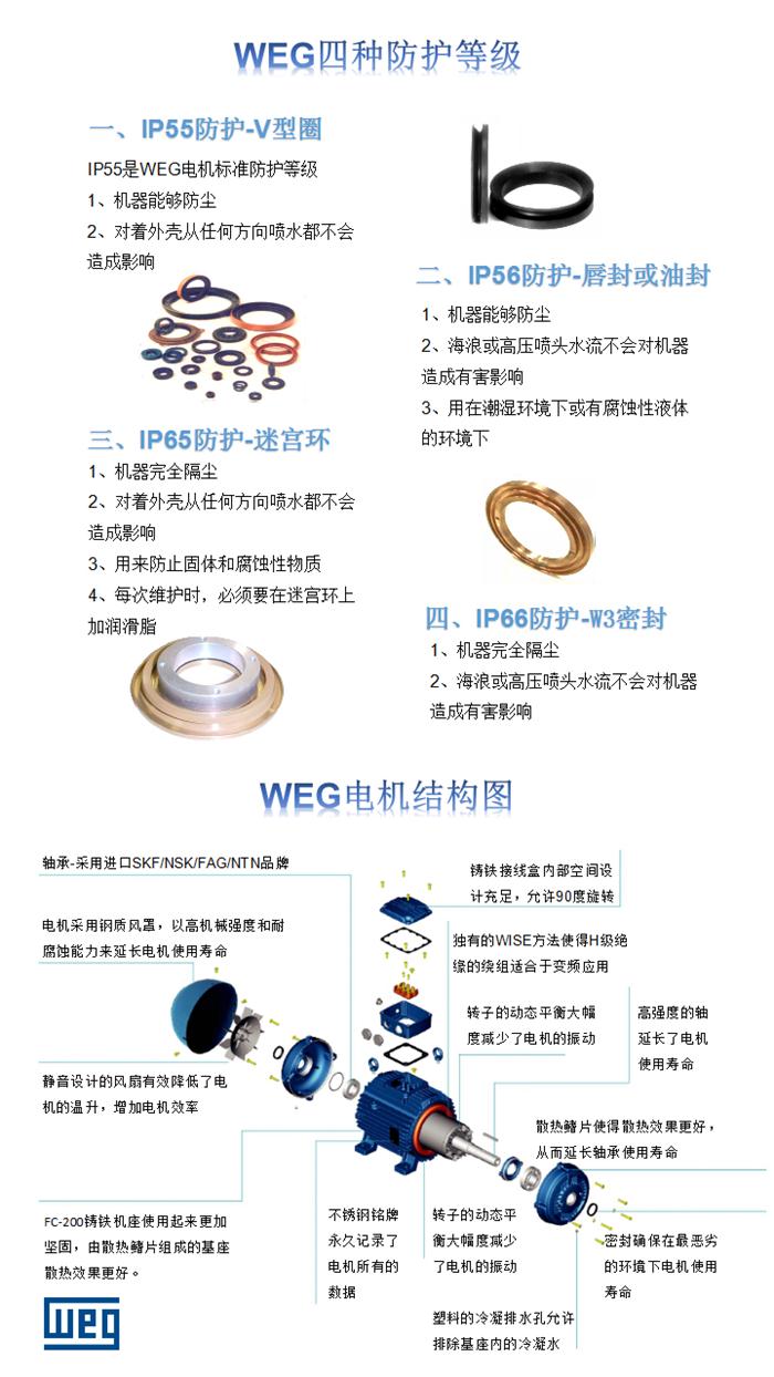 WEG電機(jī)防護(hù)等級截圖