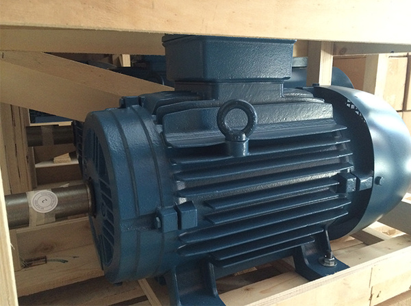 WEG(IE4)高效節(jié)能電機(jī)