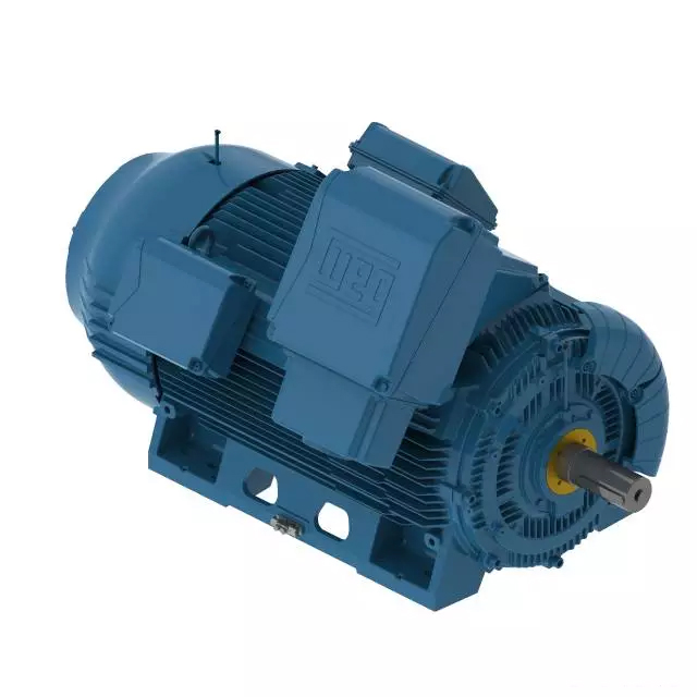 W50系列緊湊型大功率三相異步電機(jī) W50系列緊湊型大功率三相異步電機(jī)